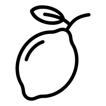 citrus line icon