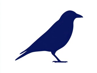 Obraz premium Dark blue silhouette of a crow standing