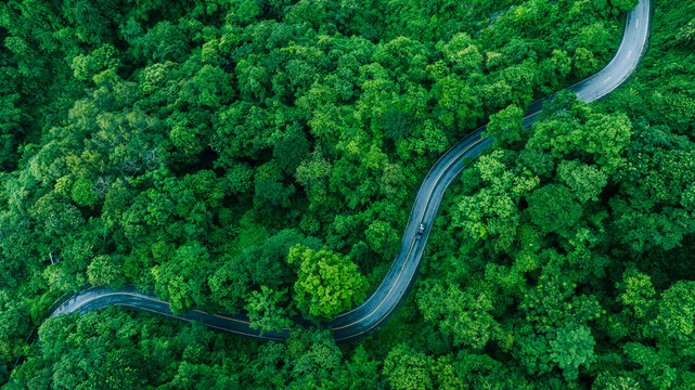 Aerial Tropical Forest Road for Sustainability Report and Green Infrastructure