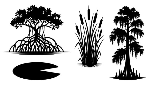  Swamp Ecosystem Silhouette Set with Mangrove Roots Tree, Cypress with Moss, Reed Cattails Grass, and Water Lily Pad Element Vectors