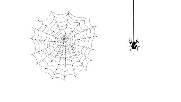 A small black spider hanging on a thread next to a circular spider web sketch