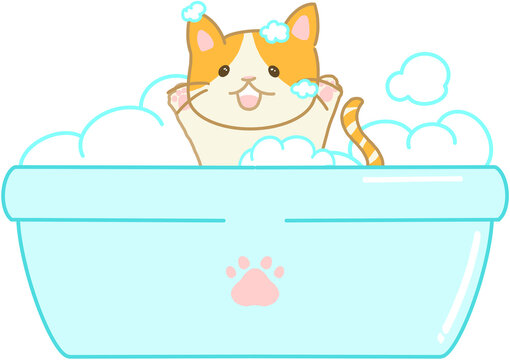 Pet grooming salon concept with dog and cat getting a bath in a tub