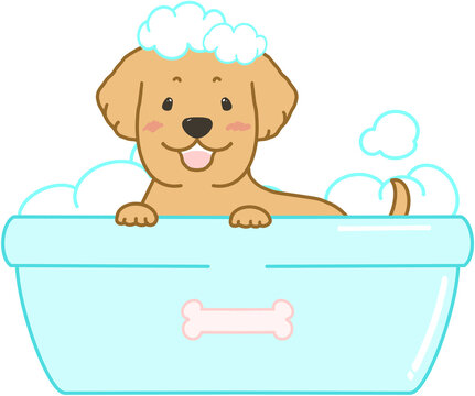 Pet grooming salon concept with dog and cat getting a bath in a tub
