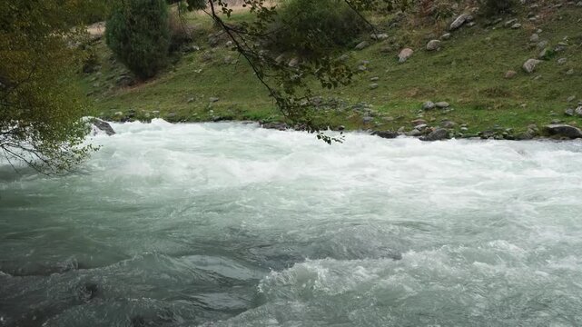 Medium shot of fast flowing mountain river stream with white water rapids rushing past green grassy banks and rocks in Kyrgyzstan Tian Shan mountains static nature background b-roll.