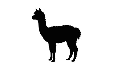 Naklejka premium Llama silhouette stands against a plain white background