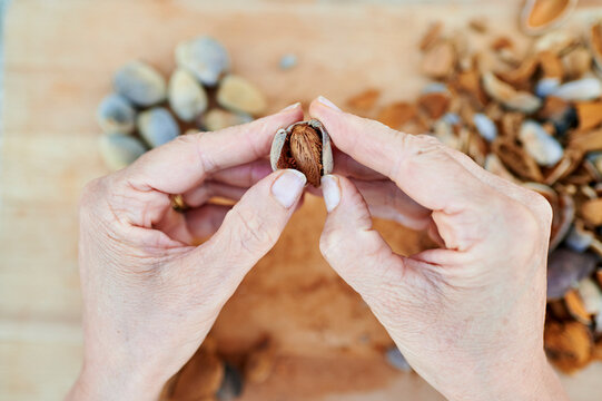 Hands cracking open fresh organic almonds on wooden table