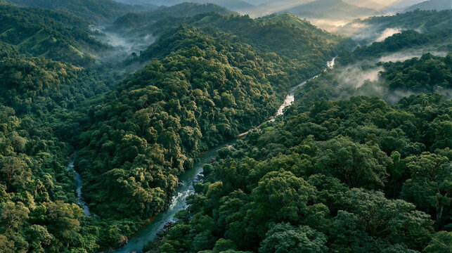 Aerial view of emerald forest over rolling hills, winding river and morning mist. Golden hour light, volumetric rays, open sky copy space for eco branding, tourism websites and environmental banners.
