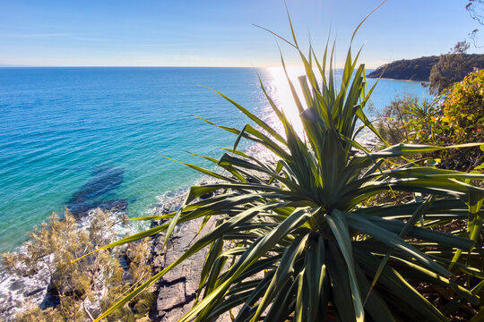 Coastal views with clear blue ocean, shoreline and native vegetation at Noosa Headland, Queensland, Australia.