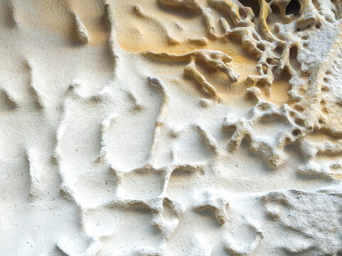 Weathered sandstone formations create natural patterns and textures in Sydney, New South Wales, Australia.