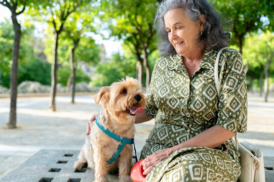 Happy senior woman petting her small dog in the park