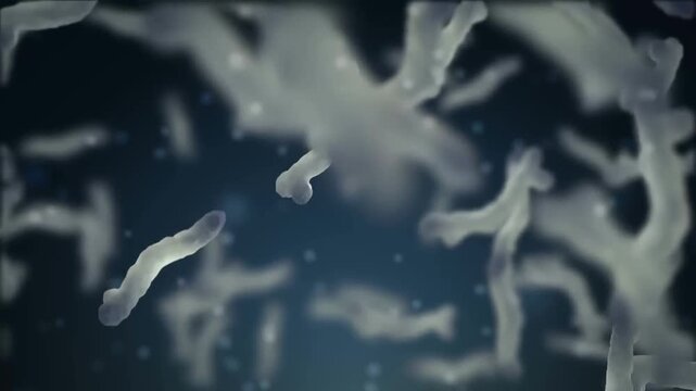 Bacteria cells moving through a fluid environment for medical and scientific research concepts.