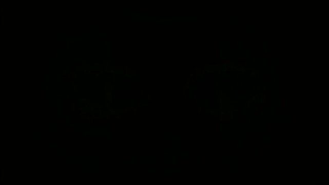 闇の中で瞬く不気味な猫の目