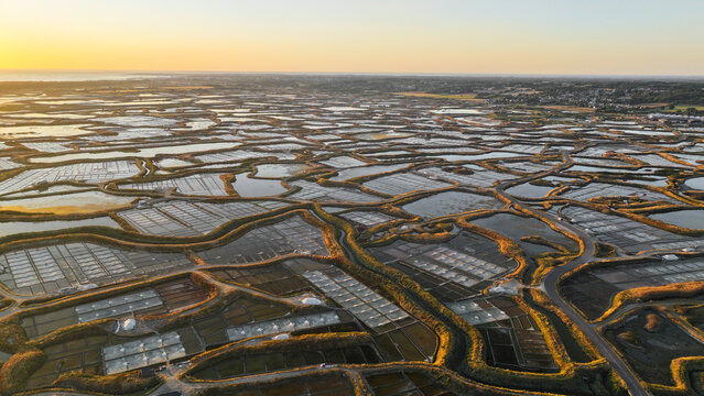 Aerial view of the Marais salants de Guerande salt marshes at golden hour, featuring an intricate network of reflective salt pans and earthen dikes in Guerande, Pays de la Loire, France.
