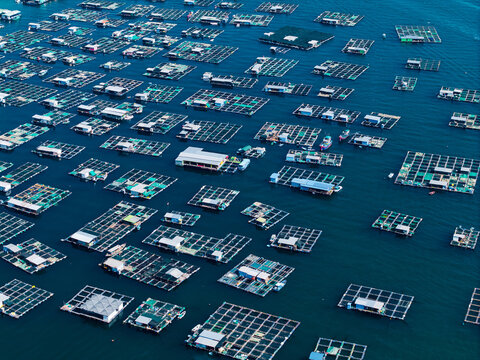 Aerial view floating fish farm platforms arranged on open sea