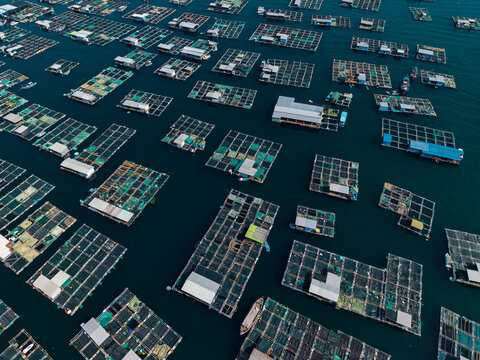 Aerial view of floating fish cage network in open coastal water of Vietnam