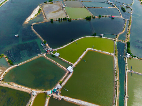 Aquaculture ponds divided by paths in coastal water