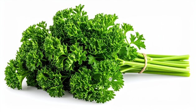 Fresh parsley isolated on transparent background