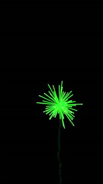 Animation of colourful christmas and new year fireworks exploding on black background