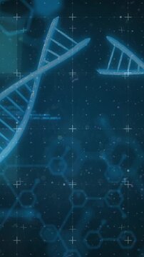 Animation of medical data processing over dark background