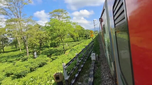 Travel footage of Kanchankanya Express passing through vibrant green tea gardens