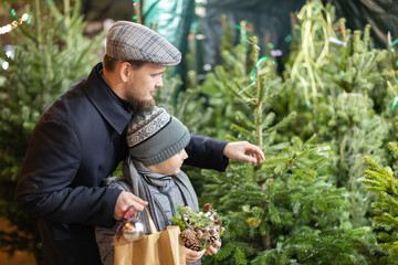 Obraz premium During Christmas market, dad and son choose Christmas tree and try on balls for New Year tree. They buy Christmas tree to decorate house and apartment, preparing for New Year and Christmas.