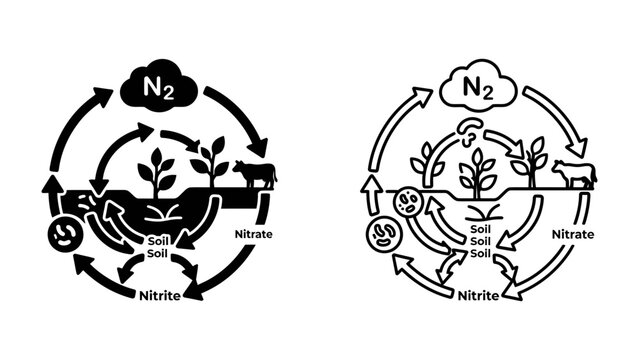 Nitrogen Cycle Diagram: A clear illustration of the nitrogen cycle, showing the conversion of nitrogen gas from the atmosphere to soil, and its uptake by plants and animals.