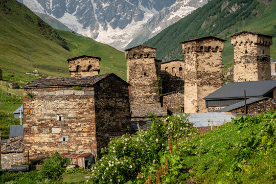 Ushguli village with the snowy mountain in the background, trans-Caucasian trail, Upper Svaneti, Caucasus mountain range, Georgia