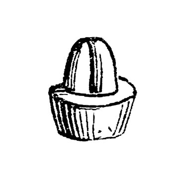 Coffee berry with visible bean and ribbed top, old vintage illustration, 1897.