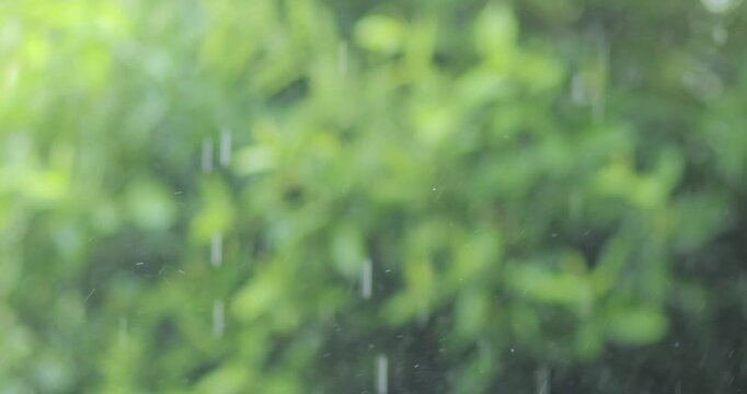 Soft rainfall falling against a blurred green nature background. Calm, fresh, atmospheric footage ideal for backgrounds, presentations, advertising, seasonal and environmental projects