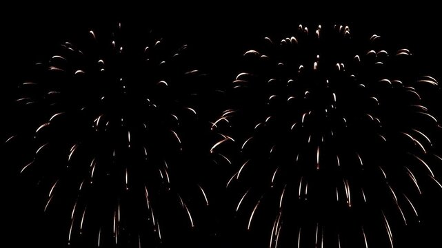 Firework burst on black night sky celebration event with bright sparks and festive light trail