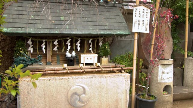 Traditional Shinto Shrine Water Basin with Dragon Statue in Tokyo