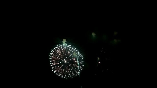 Firework burst in dark night sky, bright spark and celebration light display