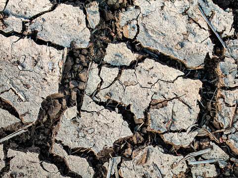 Parched soil ground during extreme summer drought with dried plant debris