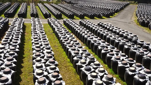 Traditional Japanese Black Vinegar Kurozu Jar Field in Kagoshima Japan - 日本 鹿児島県 無数の壺が立ち並ぶ伝統的な黒酢の壺畑
