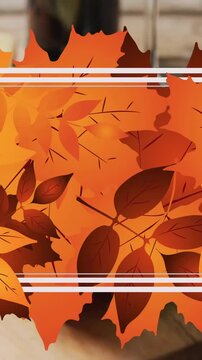 Animation of frame with fall leaves over cheese