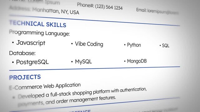 Technical skills resume template featuring programming languages and databases for e-commerce projects and professional experience., 4k animation