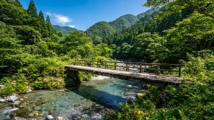 Fototapeta premium Wooden Bridge Over a Clear Mountain River in a Lush Forest