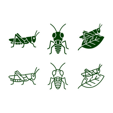 Set of grasshopper icons in solid and outline vector style with grasshopper