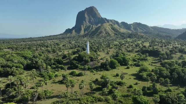 Aerial view of Nuca Molas lighthouse surrounded by lush green palm trees and rolling hills under a clear blue sky in Satar Mese Barat, East Nusa Tenggara, Indonesia.