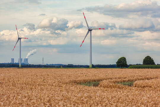 Renewable energy, wind turbines near the golden wheat field