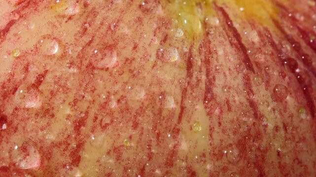 Close-Up of Red Apple Covered with Water Droplets