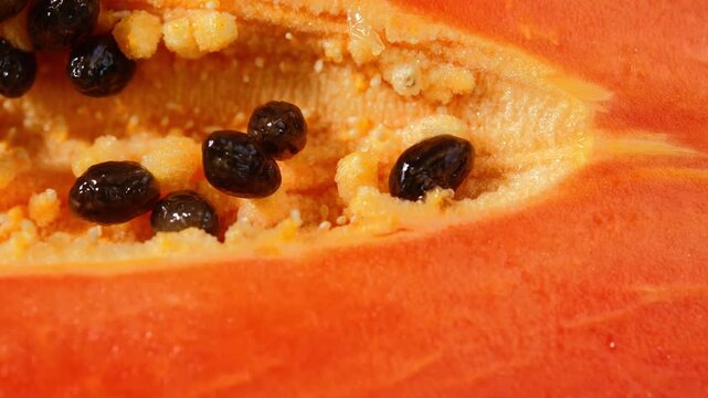Close-Up of Fresh Sliced Ripe Papaya