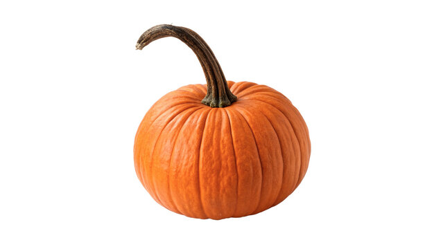 Whole ripe orange pumpkin with green stem for autumn harvest isolated on transparent background