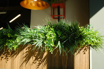Fototapeta premium Green plants arranged in a wooden container with shadows