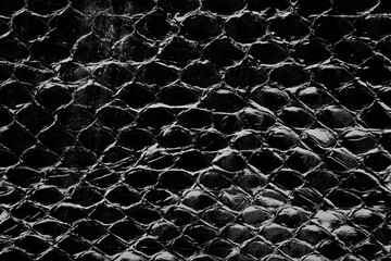 Black glossy python leather texture close up with reptile scale pattern for fashion background © reddish