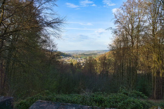 View Through Forest Clearing into a Valley