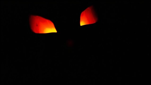 Spooky glowing cat eyes in the dark, mysterious feline eyes illuminated in black background, halloween theme, glowing orange eyes in shadows