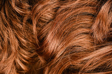 Brown hair texture. Brown wavy hair background © reddish