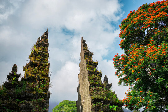 Traditional Balinese Candi Bentar Temple Gate with Blooming Flame Tree in Bali Indonesia