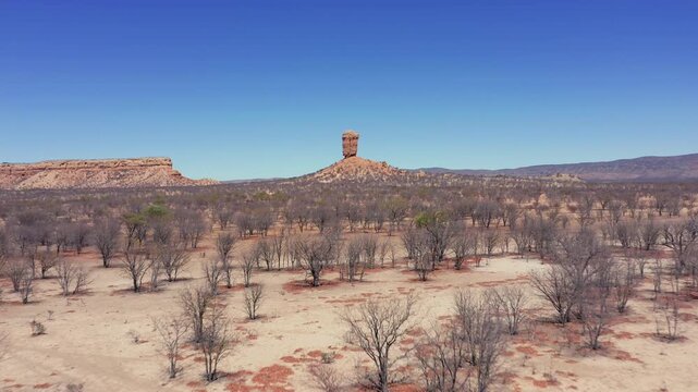 Ugab Valley mopana trees and arid desert landscape with The Vingerklip rock formation in the background, Aerial tracking shot